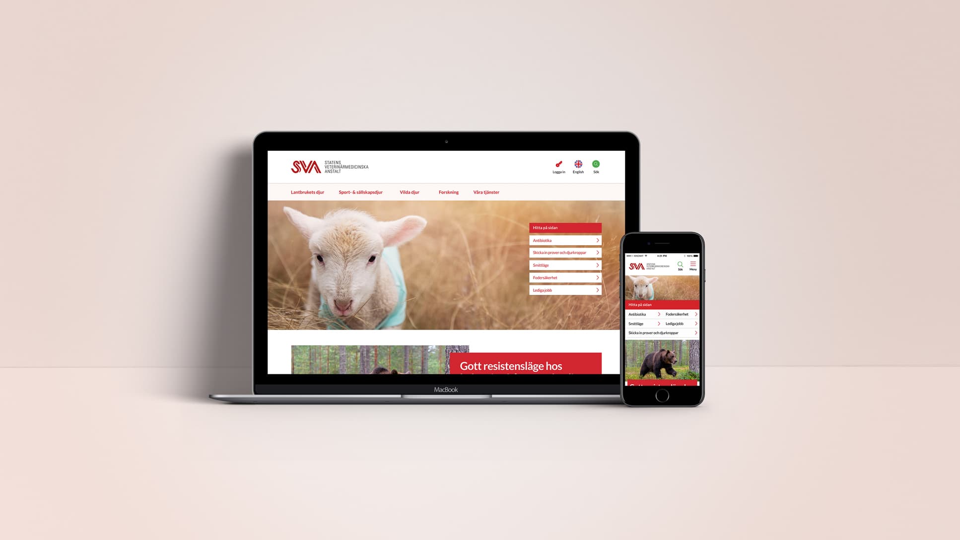 Bild på Statens veterinärmedicinska anstalts webbplats.