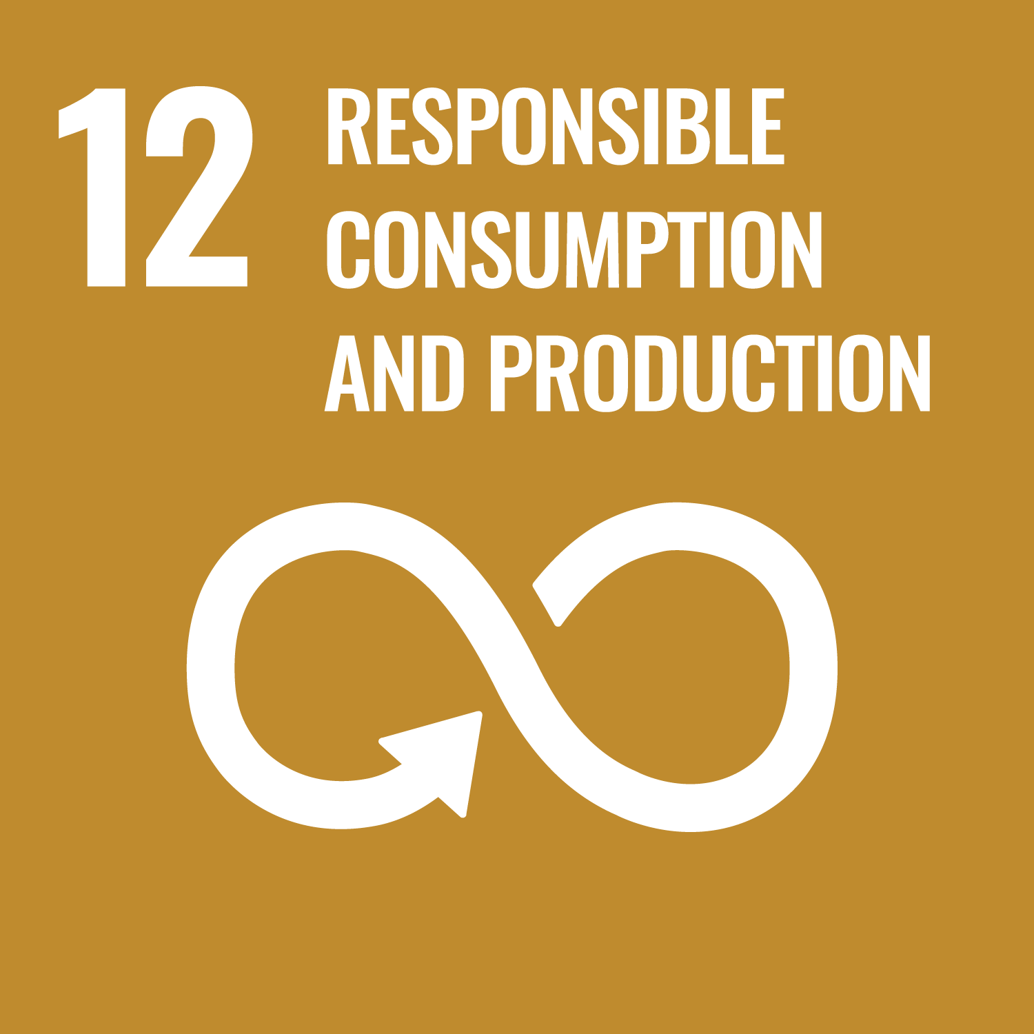 SDG 12