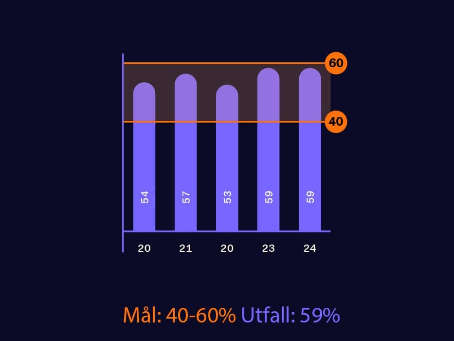 Vinst per aktie och aktieutdelning 2024
